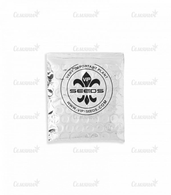 Northern Delights Auto (VIP seeds) — изображение 3