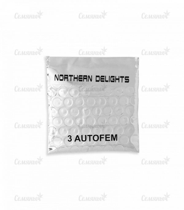 Northern Delights Auto (VIP seeds) — изображение 2