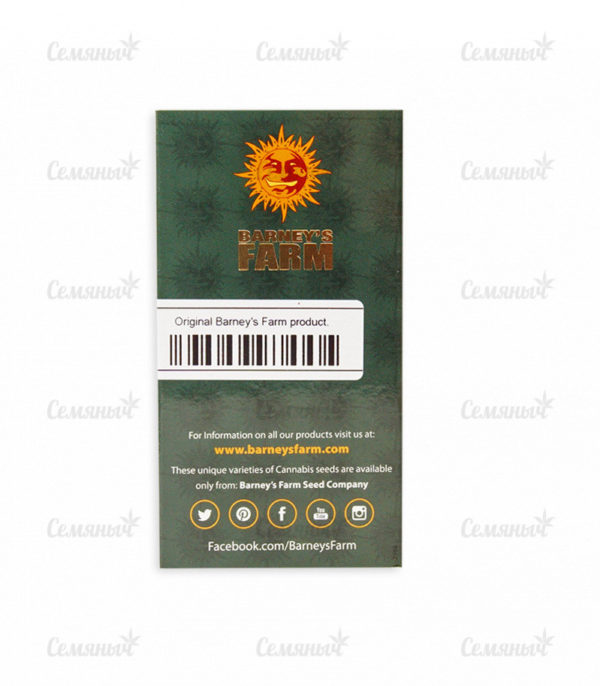 8 Ball Kush (Barney's Farm) — изображение 5