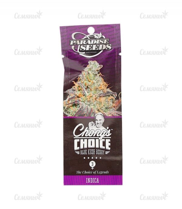 Blue Kush Berry (Paradise Seeds) — изображение 2