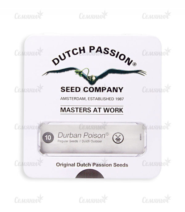 Durban Poison regular (Dutch Passion) — изображение 2