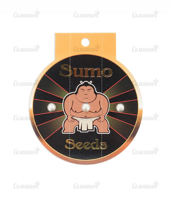 Sumo's OG Kush (Sumo Seeds) — изображение 2