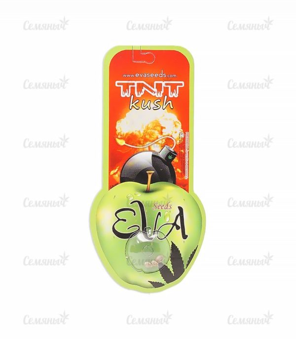 TNT Kush (Eva Seeds) — изображение 2