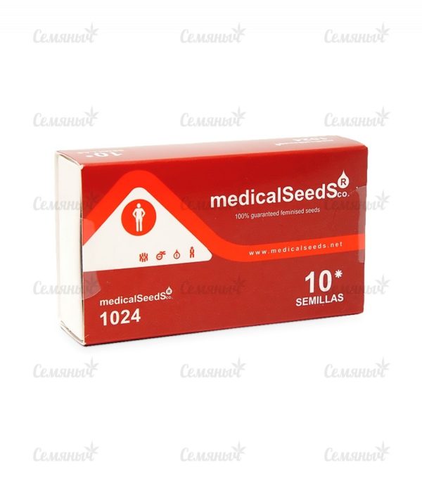 Семена сорта Bad Azz Kush — изображение 4