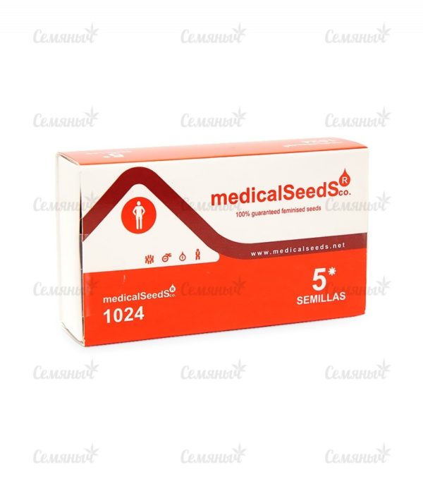 Семена сорта Bad Azz Kush — изображение 3