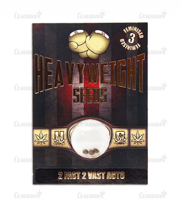 Семена сорта Sweet Harlem Diesel (Sumo Seeds) — изображение 2