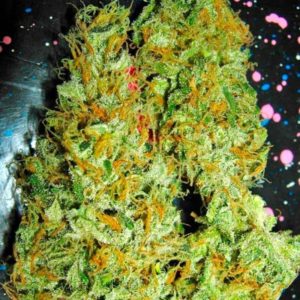 Семена сорта Aurora Indica regular (Nirvana Seeds)