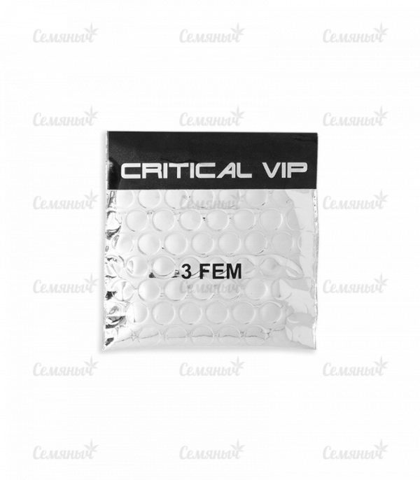 Семена сорта VIP Haze (VIP seeds) — изображение 2