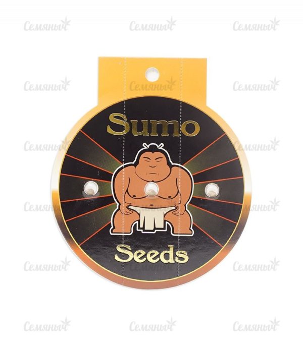 Семена сорта Auto Critical (Victory Seeds) — изображение 2