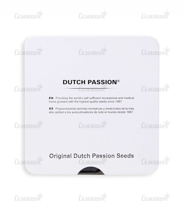 Семена сорта Delahaze (Paradise Seeds) — изображение 3
