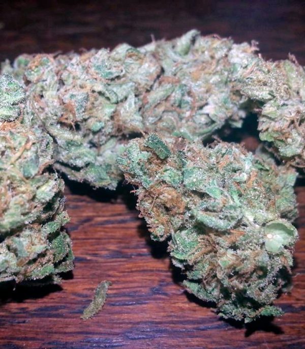 Семена сорта Auto White Widow (Pyramid Seeds) — изображение 5
