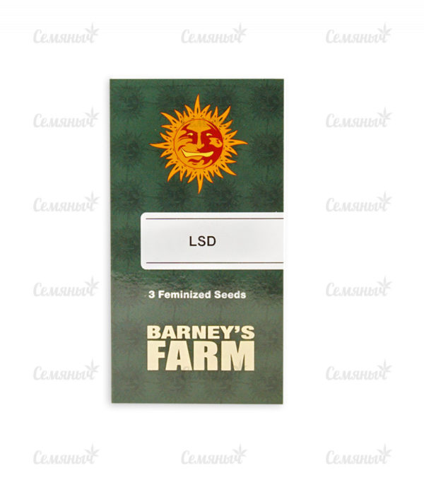 Семена сорта Liberty Haze (Barney's Farm) — изображение 2