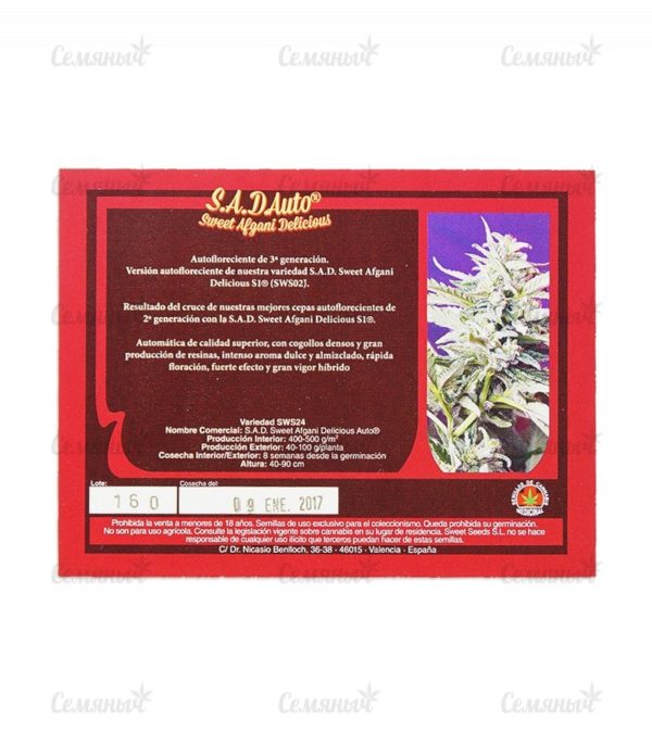 Семена сорта New York City (Pyramid Seeds) — изображение 3
