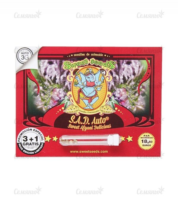 Семена сорта New York City (Pyramid Seeds) — изображение 2
