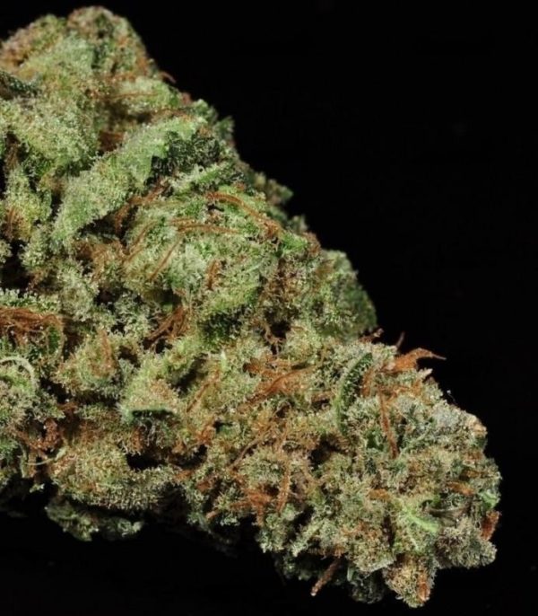 Семена сорта Royale Haze (Dinafem Seeds) — изображение 5