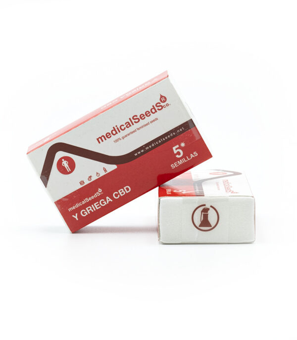 Семена сорта Y Griega CBD — изображение 2