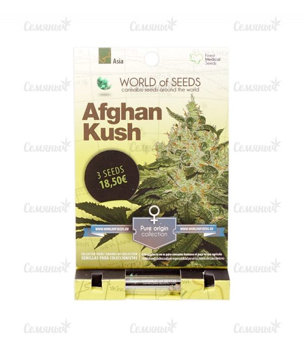 Семена сорта Wappa (Paradise Seeds) — изображение 2