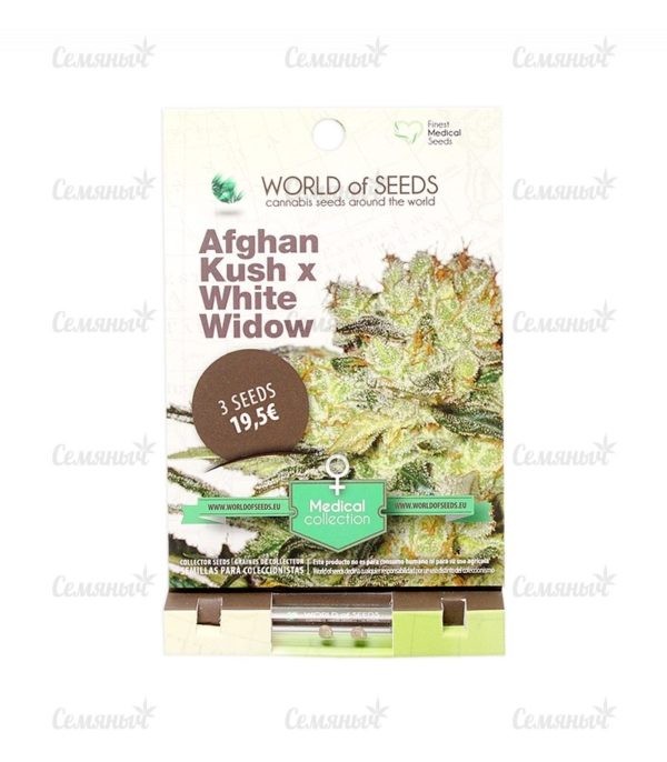 Семена сорта Auto Galaxy (Pyramid Seeds) — изображение 2