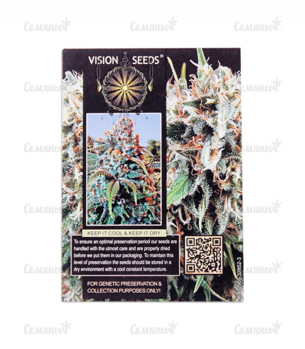 Семена сорта Purple Moby Dick (Dinafem Seeds) — изображение 3