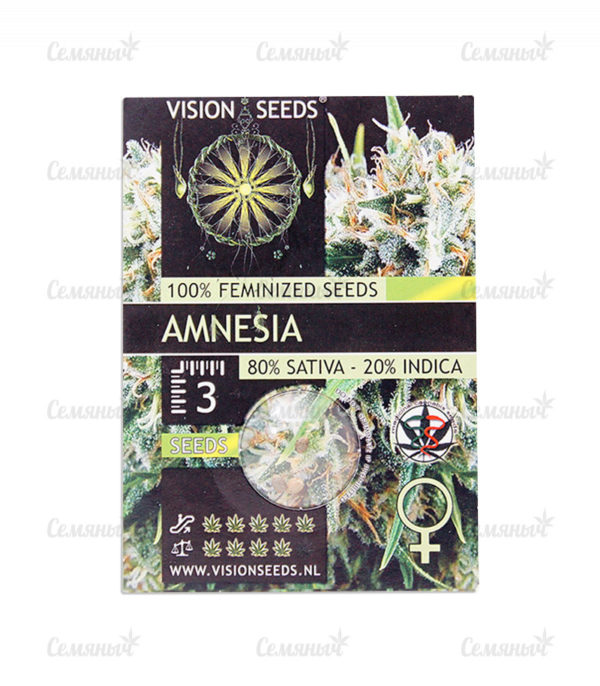 Семена сорта Purple Moby Dick (Dinafem Seeds) — изображение 2