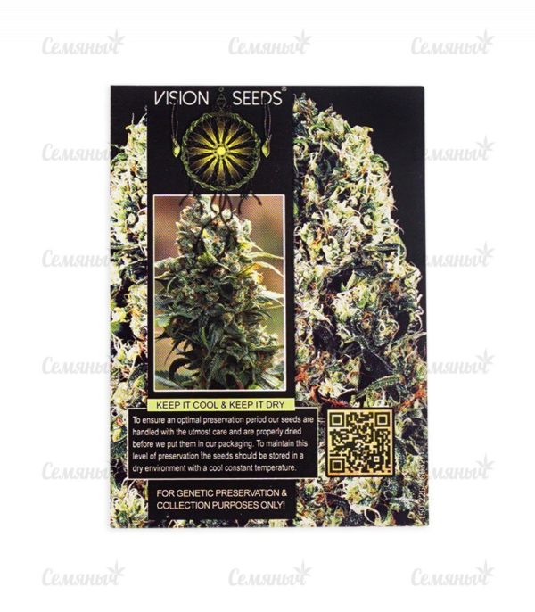 Семена сорта Ramses (Pyramid Seeds) — изображение 3