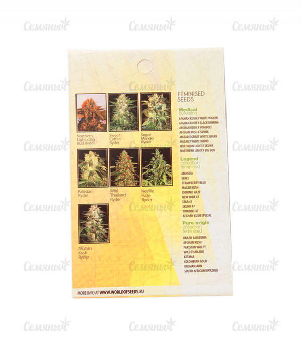 Семена сорта Shot Adrenaline auto (Samsara Seeds) — изображение 3