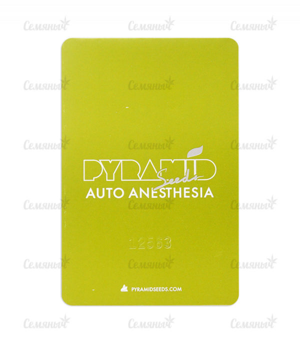 Семена сорта Auto MASS — изображение 6