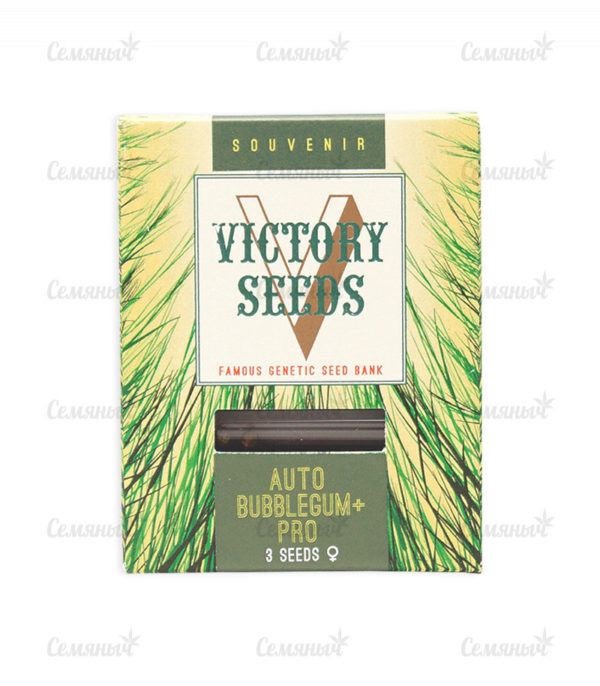 Семена сорта Auto Original Berry (Victory Seeds) — изображение 2