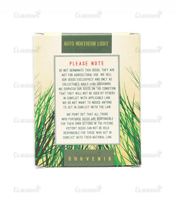Семена сорта Morning Glory (Barney's Farm) — изображение 3