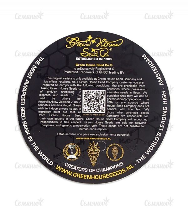 Семена сорта CBD Skunk Haze (Dutch Passion) — изображение 4