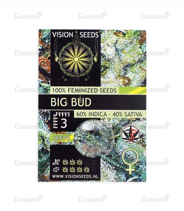 Семена сорта Auto Bubble (Female Seeds) — изображение 2