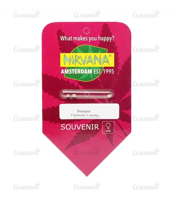 Семена сорта Papaya regular — изображение 2