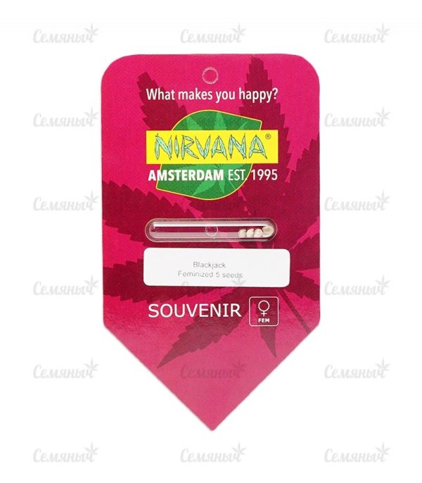 Семена сорта Papaya regular — изображение 3