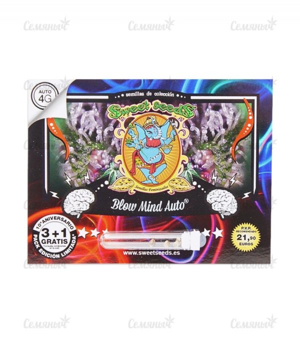 Семена сорта Maxi Haze auto — изображение 2