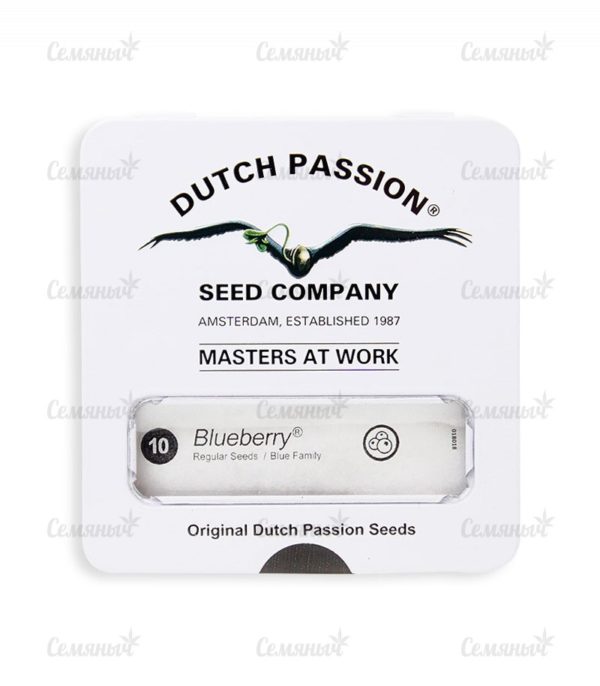 Семена сорта Pure Kush (GHS) — изображение 2