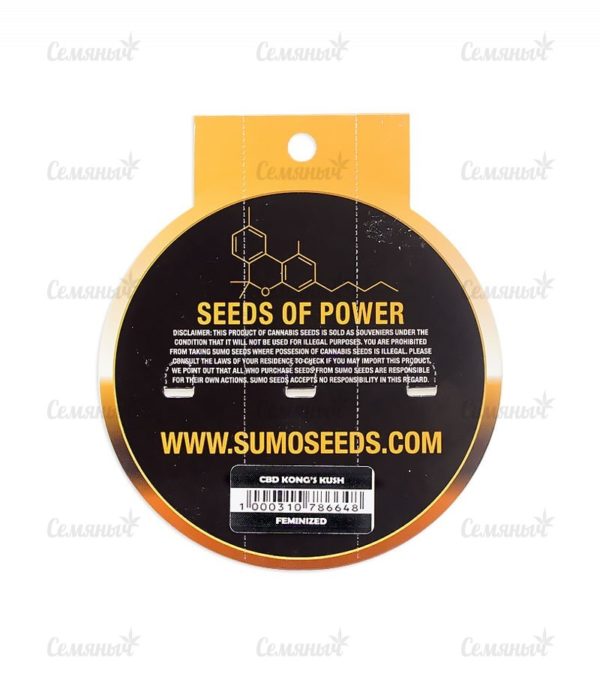 Семена сорта Auto Critical (Victory Seeds) — изображение 3