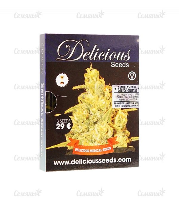 Семена сорта Orange Sherbet Auto fem (FastBuds) — изображение 2