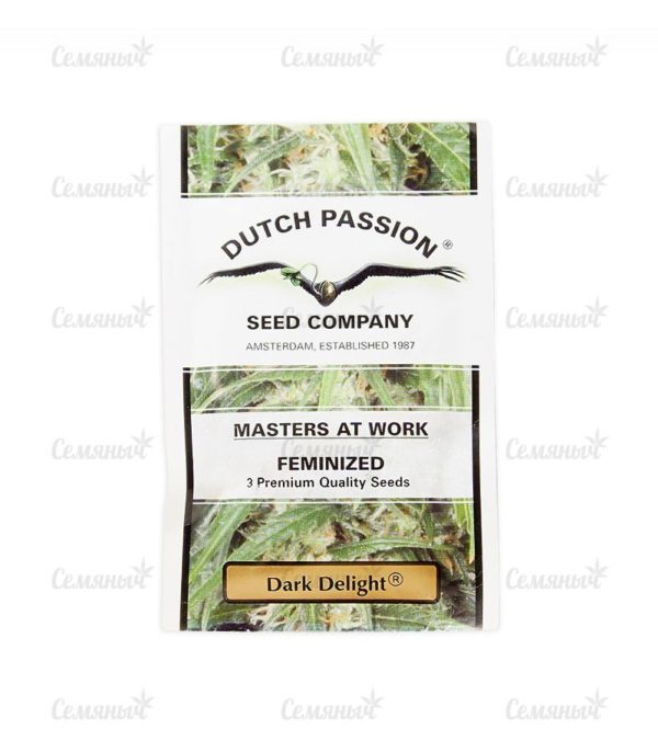 Семена сорта Auto White Widow (Pyramid Seeds) — изображение 2