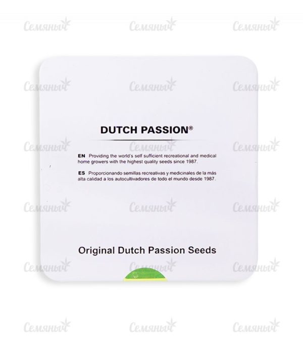 Семена сорта Outlaw Amnesia (Dutch Passion) — изображение 3