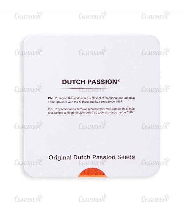 Семена сорта Watermelon Zkittlez fem (Pyramid Seeds) — изображение 4