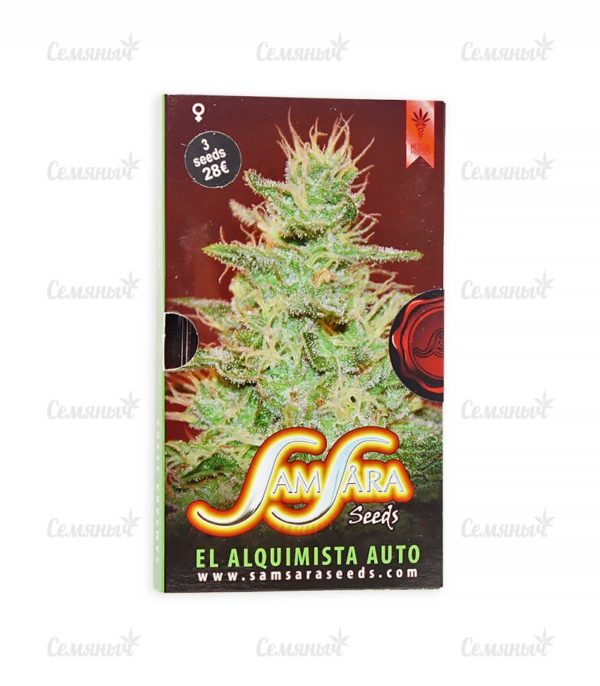 Семена сорта Jack Mist Tree (KFC Seeds) — изображение 2