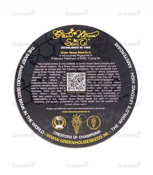 Семена сорта White Rush Auto (Dr. Krippling Seeds) — изображение 4