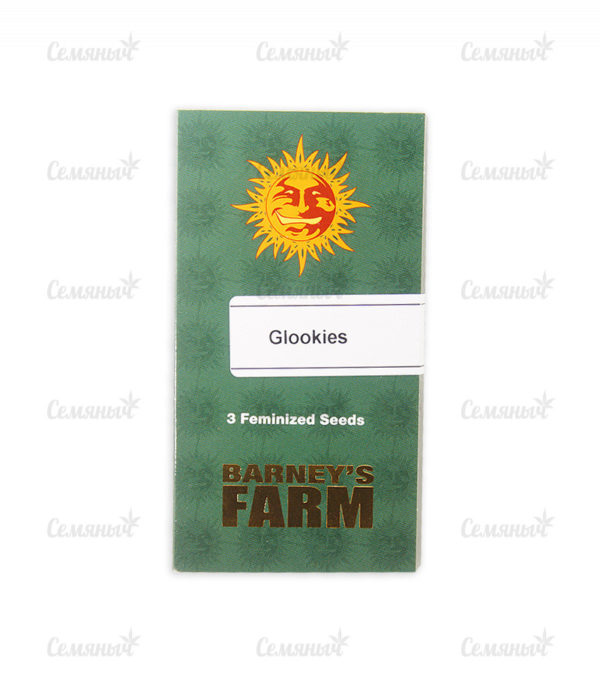 Семена сорта Cookies USA fem (Pyramid Seeds) — изображение 2