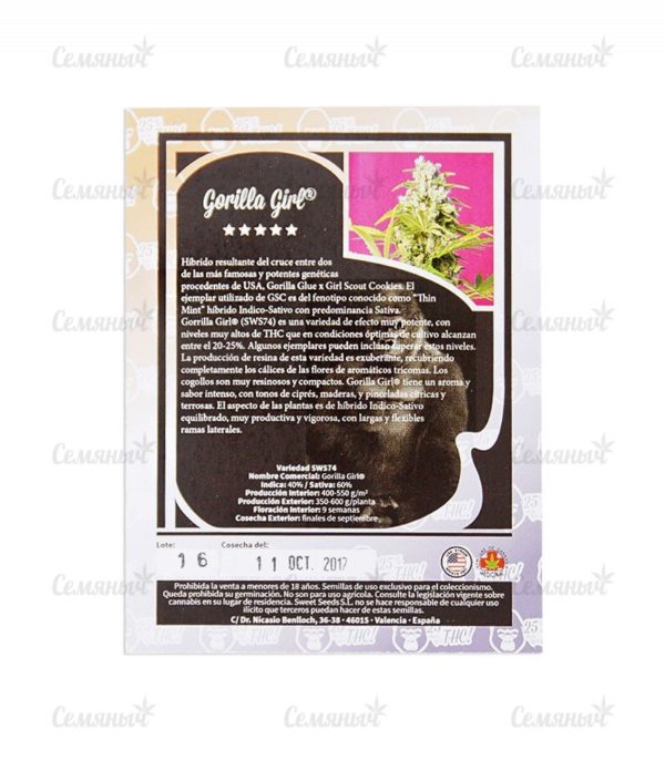 Семена сорта Budzilla (Heavyweight Seeds) — изображение 3