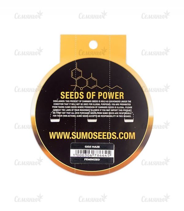 Семена сорта Fruit Punch Auto (Heavyweight Seeds) — изображение 3
