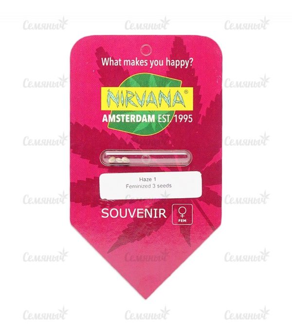 Семена сорта Raspberry Cough (Nirvana Seeds) — изображение 2