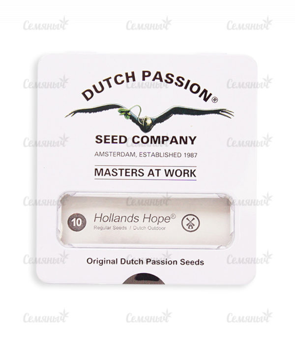 Семена сорта Auto Anesthesia (Pyramid Seeds) — изображение 2