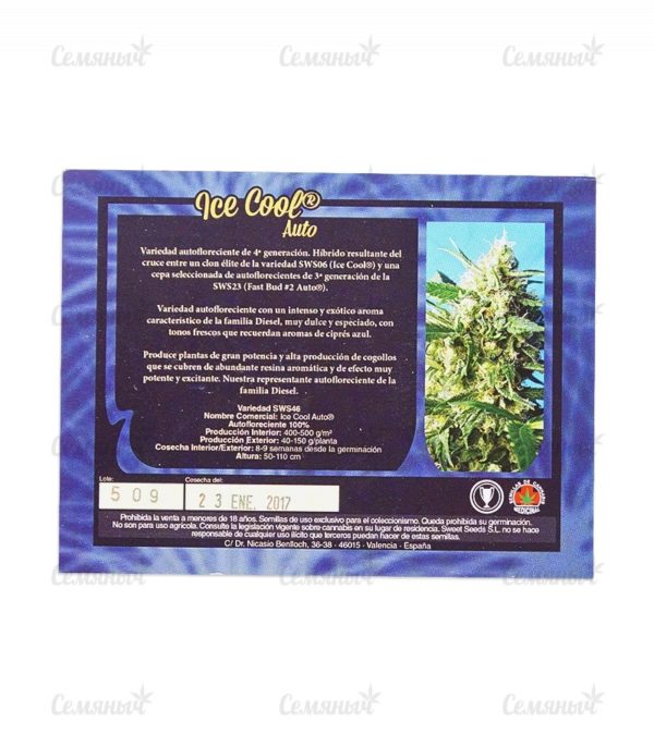 Семена сорта Dutch Dragon (Paradise Seeds) — изображение 3