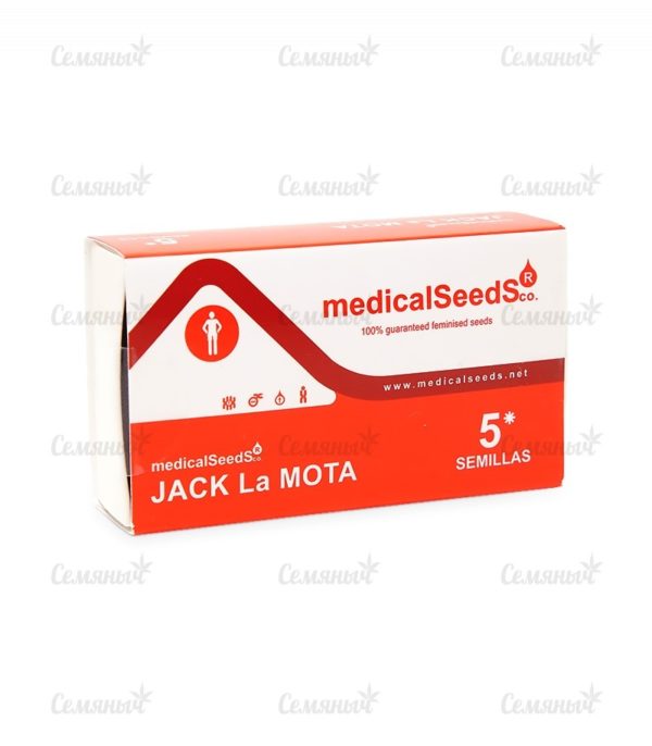 Семена сорта Auto Dark Purple (Delicious Seeds) — изображение 3