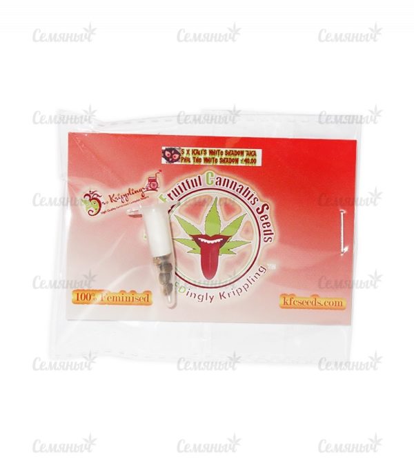 Семена сорта Dream Machine (Heavyweight Seeds) — изображение 2